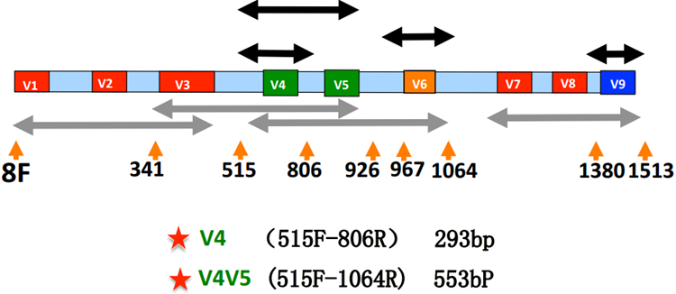 欧博ABG游戏(中国集团)唯一官方网站