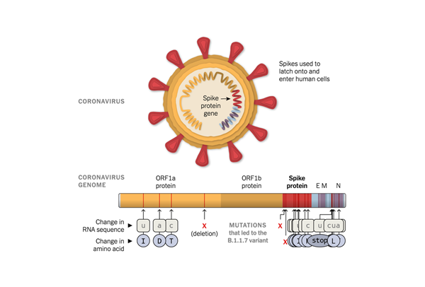 欧博ABG游戏(中国集团)唯一官方网站