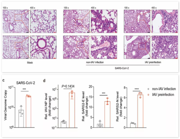 欧博ABG游戏(中国集团)唯一官方网站